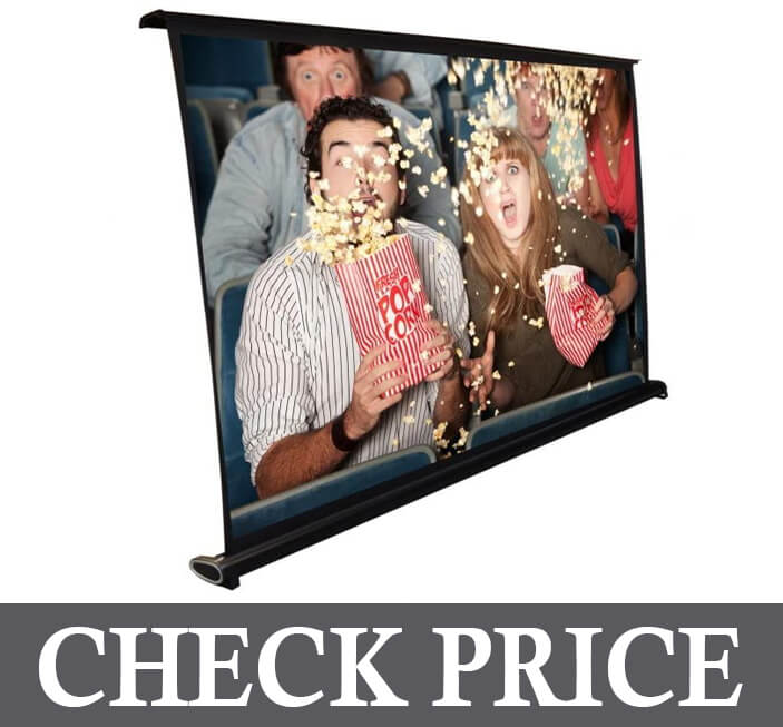 Pyle Portable Projector Screen